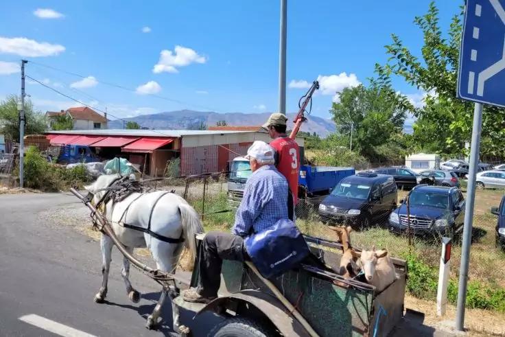 Zwei Personen sitzen auf einem kleinen zweirädrigen Karren, gezogen von einem weißen Pferd und einem braunen Esel, auf einer asphaltierten Straße; rechts geparkte Autos, Häuser, Bäume und Berge im Hintergrund