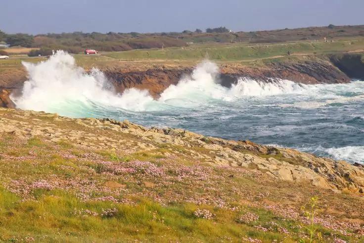 K&uuml;stenlandschaft mit grasbewachsenem Vordergrund und rosa Bl&uuml;ten, Wellen schlagen gegen felsige Klippen, Gischt steigt auf, weiter K&uuml;stenabschnitt im Hintergrund