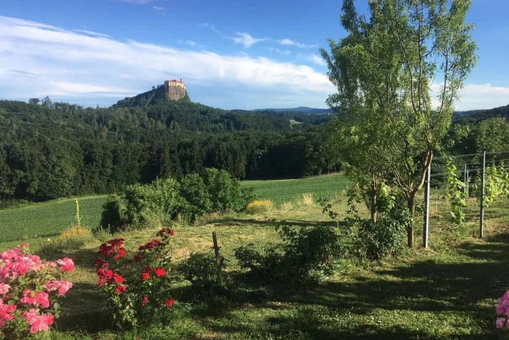 Wiese mit pinken Blumen im Vordergrund, kleiner Baum und Spalier mit Reben rechts, dahinter Wald und in der Ferne ein felsiger H&uuml;gel mit Geb&auml;ude auf der Kuppe unter leicht bew&ouml;lktem Himmel