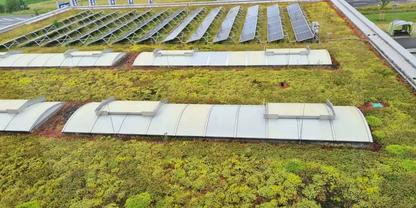 Flaches Dach mit gr&uuml;ner Vegetation, mehreren gebogenen Lichtkuppeln und Reihen von Solarpaneelen im Hintergrund