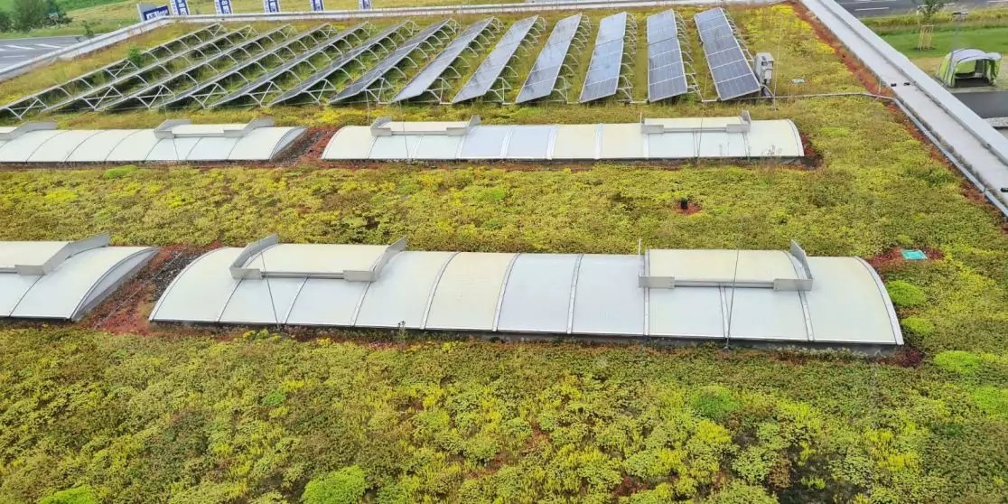 Flaches Dach mit gr&uuml;ner Vegetation, mehreren gebogenen Lichtkuppeln und Reihen von Solarpaneelen im Hintergrund