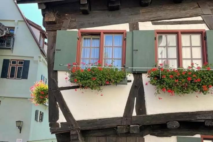 Fachwerkhausfassade mit zwei Fenstern, gr&uuml;nen Fensterl&auml;den und Blumenk&auml;sten mit roten Blumen