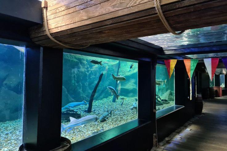 Innenraum eines Aquariums mit gro&szlig;en Glasfenstern, Fischen &uuml;ber einem Kiesboden, Holzbalken an der Decke und bunten Wimpeln &uuml;ber dem Gang