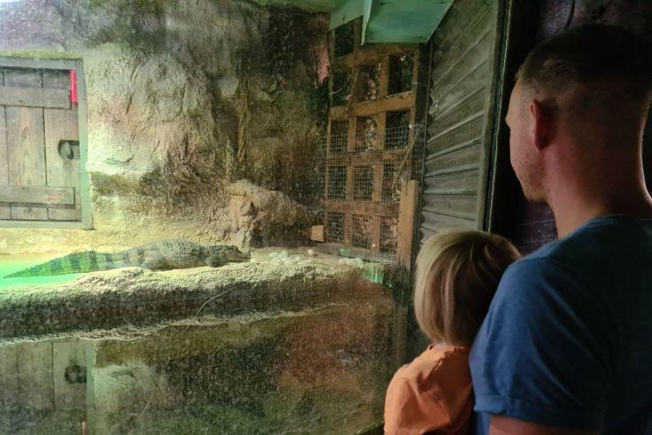 Zwei Personen von hinten, eine gr&ouml;&szlig;ere und eine kleinere, stehen vor einer Glasscheibe. Dahinter: Felswand und Wasserbecken; links eine Holzt&uuml;r; rechts ein Metallgitter und eine geschlossene Jalousie