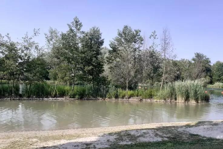 Ufer eines Teichs mit Schilf und B&auml;umen, Sand- und Grasstreifen im Vordergrund, blauer Himmel