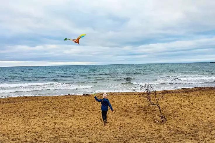 Person in blauer Jacke mit buntem Drachen in der Luft auf sandigem Strand; rechter Vordergrund kleiner kahler Busch; im Hintergrund welliges Meer und bew&ouml;lkter Himmel