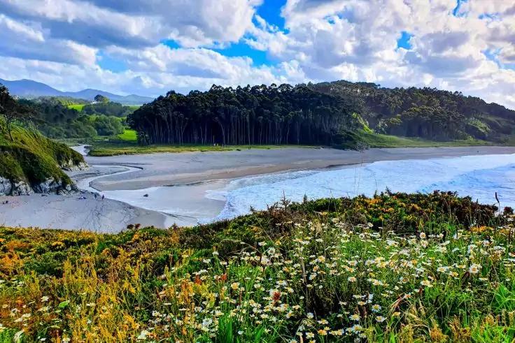 Gras und Wildblumen im Vordergrund, Sandstrand mit flachem Wasser und kleinen Wellen, baumbewachsener H&uuml;gel und bew&ouml;lkter Himmel