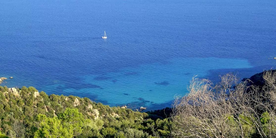 Blaues Meer mit hellt&uuml;rkisfarbenem Wasser nahe der K&uuml;ste, kleines Segelboot auf dem Meer, bewachsene Klippen und Str&auml;ucher im Vordergrund