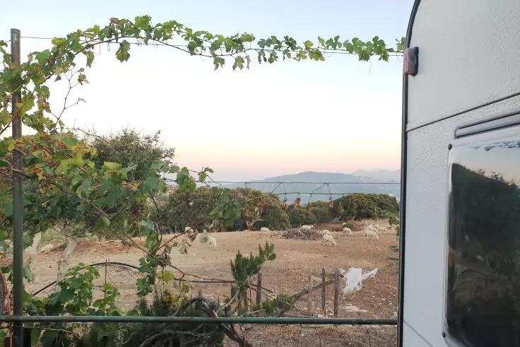 Weinrebe an Rankgitter im Vordergrund, Metallgel&auml;nder, trockenes Feld mit Str&auml;uchern, entfernte H&uuml;gel und heller Himmel; rechter Bildrand zeigt die Seitenwand eines wei&szlig;en Wohnwagens mit Fenster