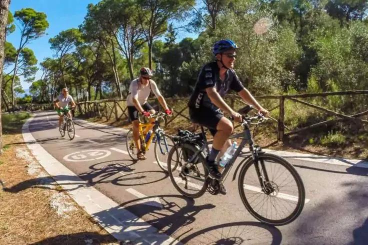 Drei Personen auf Fahrr&auml;dern fahren auf einem asphaltierten Radweg durch einen bewaldeten Park; rechter Holzzaun und wei&szlig;e Wegmarkierungen sichtbar; sonniger Tag