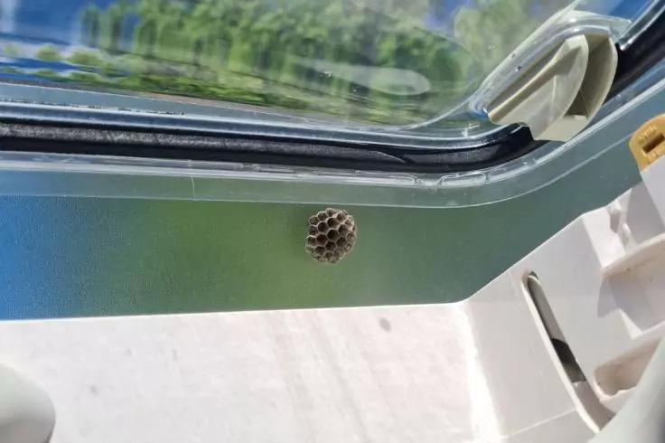 Kleine runde papierartige Wabenstruktur mit sechseckigen Zellen an einem gr&uuml;nen Fensterrahmen, daneben Glas mit Spiegelung und helle Kunststoffverkleidung