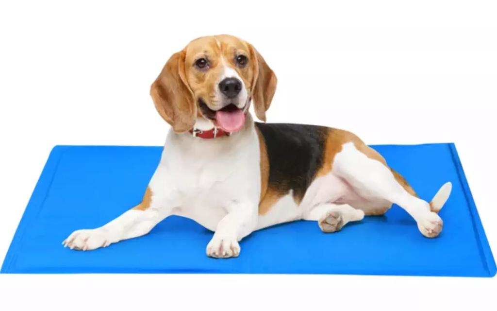 Die Kühlmatte ist mit einem Gel gefüllt, das bei Berührung die Körpertemperatur reguliert.