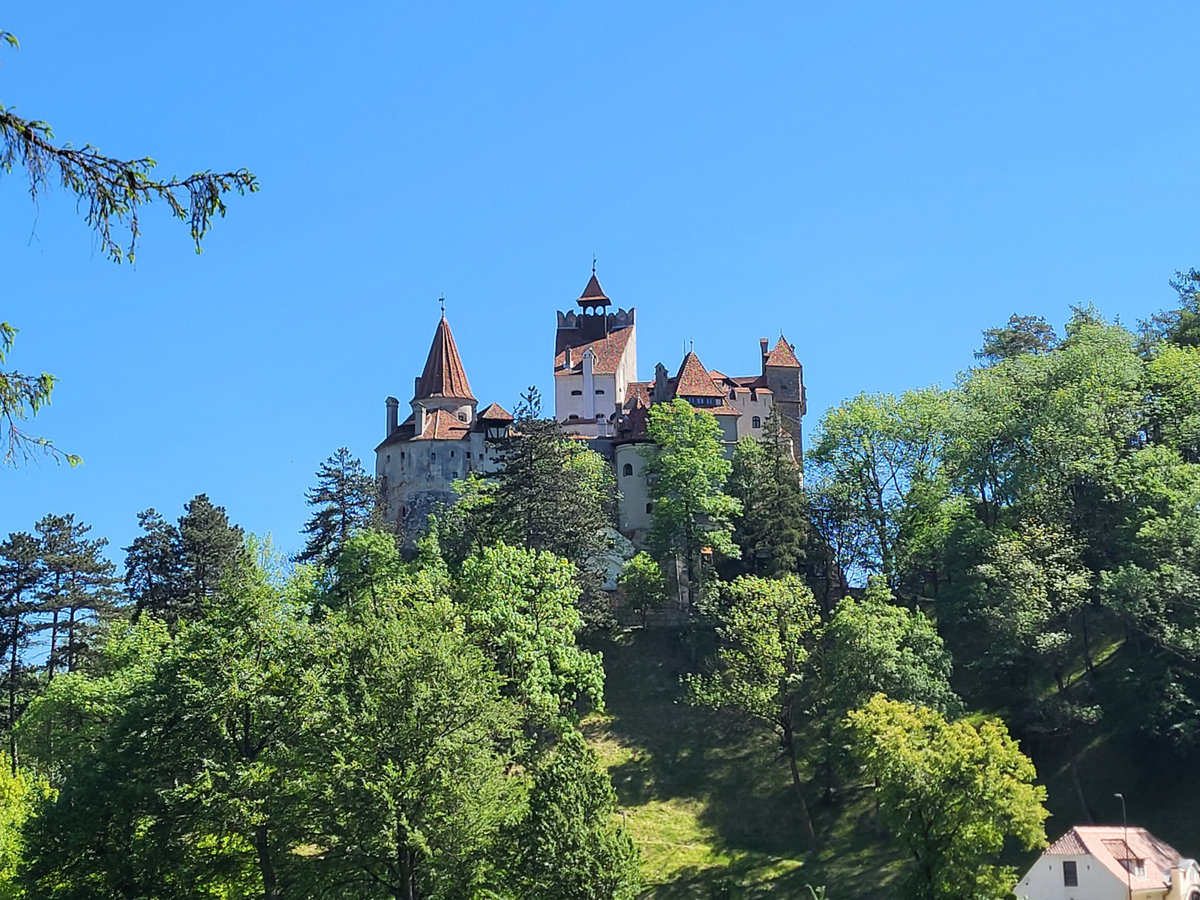 Burg auf bewaldetem H&uuml;gel mit mehreren T&uuml;rmen und roten D&auml;chern, gr&uuml;ne B&auml;ume, blauer Himmel