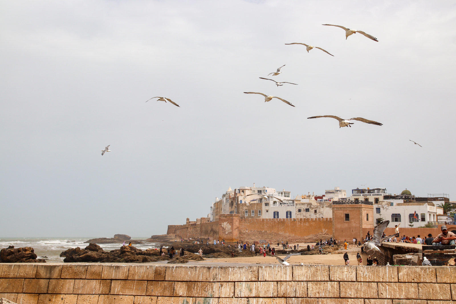 K&uuml;stenort mit Geb&auml;uden an der Promenade, Steinmauer im Vordergrund, Wellen, fliegende M&ouml;wen und Menschen am Ufer