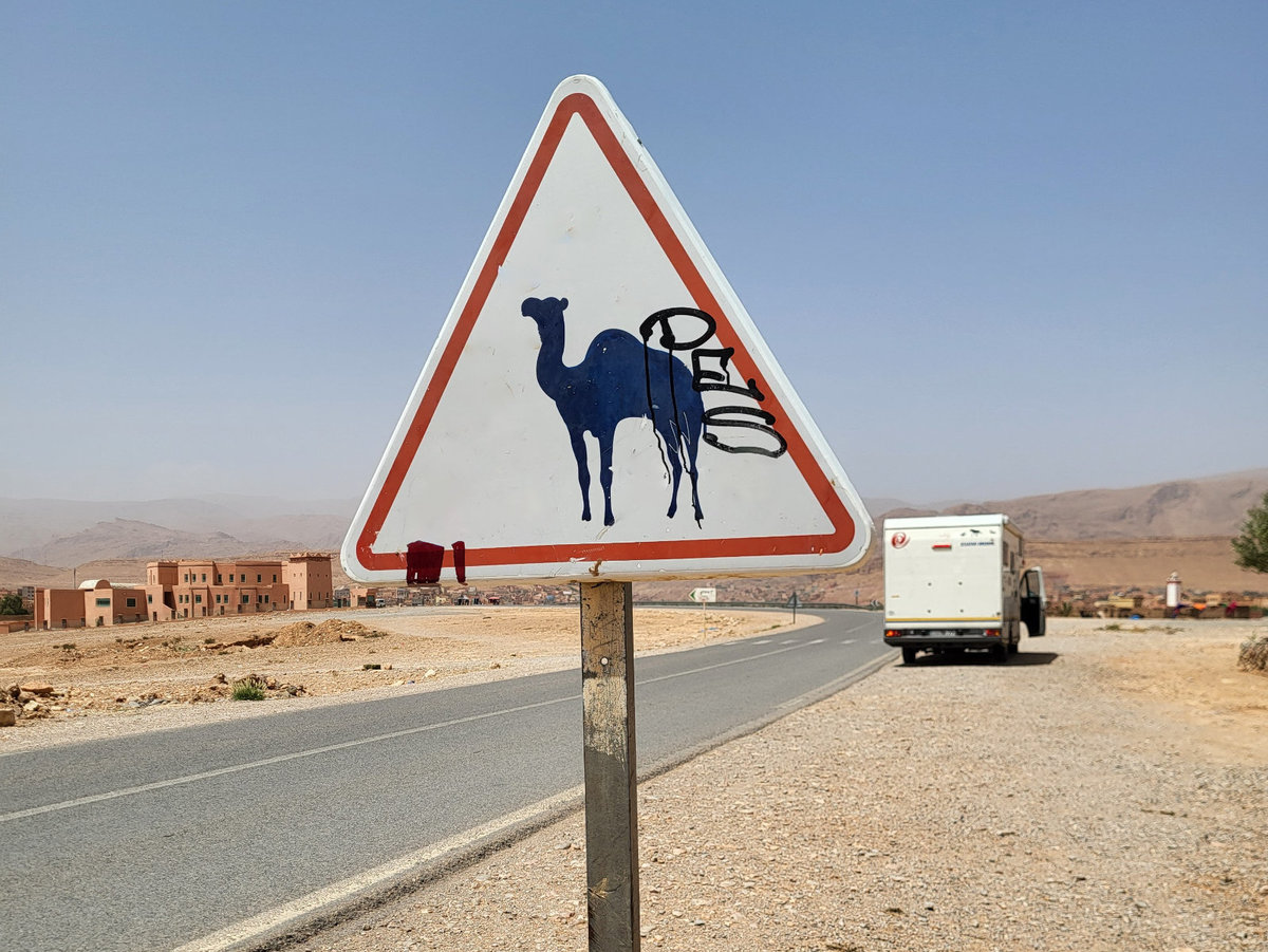 Dreieckiges Schild mit blauer Kamel-Silhouette und schwarzer Graffiti auf einem Metallpfosten am Stra&szlig;enrand; asphaltierte Stra&szlig;e, wei&szlig;es Fahrzeug f&auml;hrt weg, Geb&auml;ude, karges W&uuml;stenland und blauer Himmel
