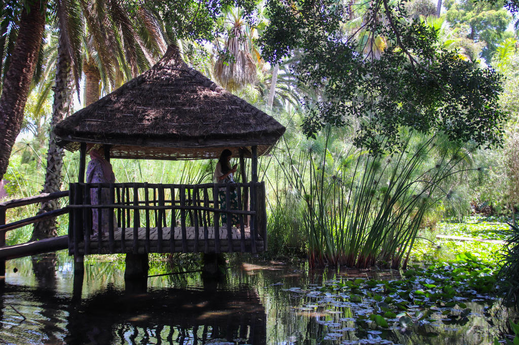 Pavillon aus Holz mit Strohdach auf Stelzen &uuml;ber einem Teich mit Seerosen; zwei Personen auf der Veranda; Palmen und hohes Schilf im Hintergrund; Spiegelung im Wasser
