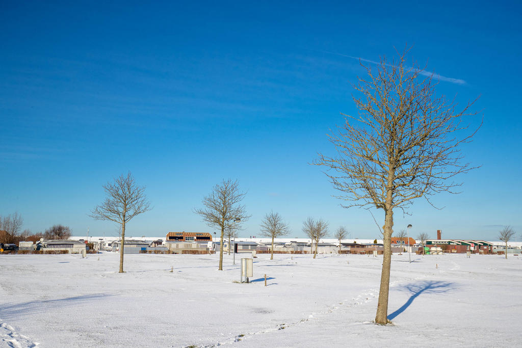Schneebedeckte Fl&auml;che mit mehreren blattlosen B&auml;umen; im Hintergrund H&auml;user und geparkte Autos unter klarem blauem Himmel