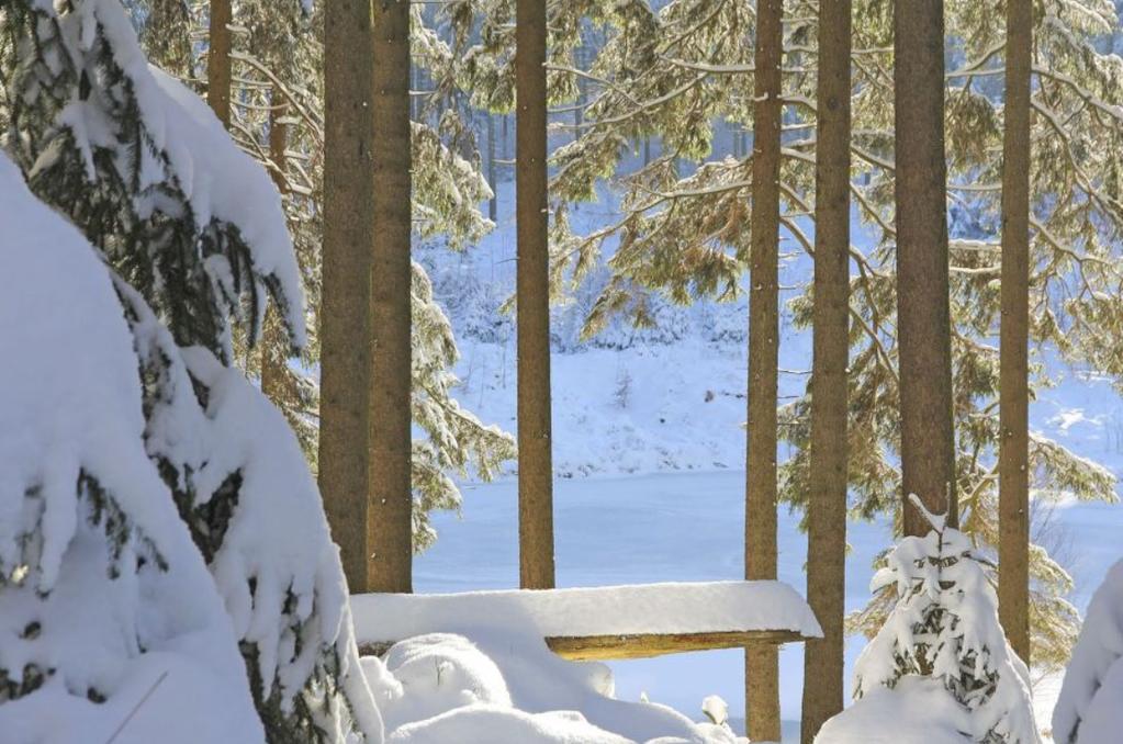 Verschneiter Nadelwald mit schneebedeckter Holzbank und Schneehaufen, im Hintergrund ein See zwischen den B&auml;umen