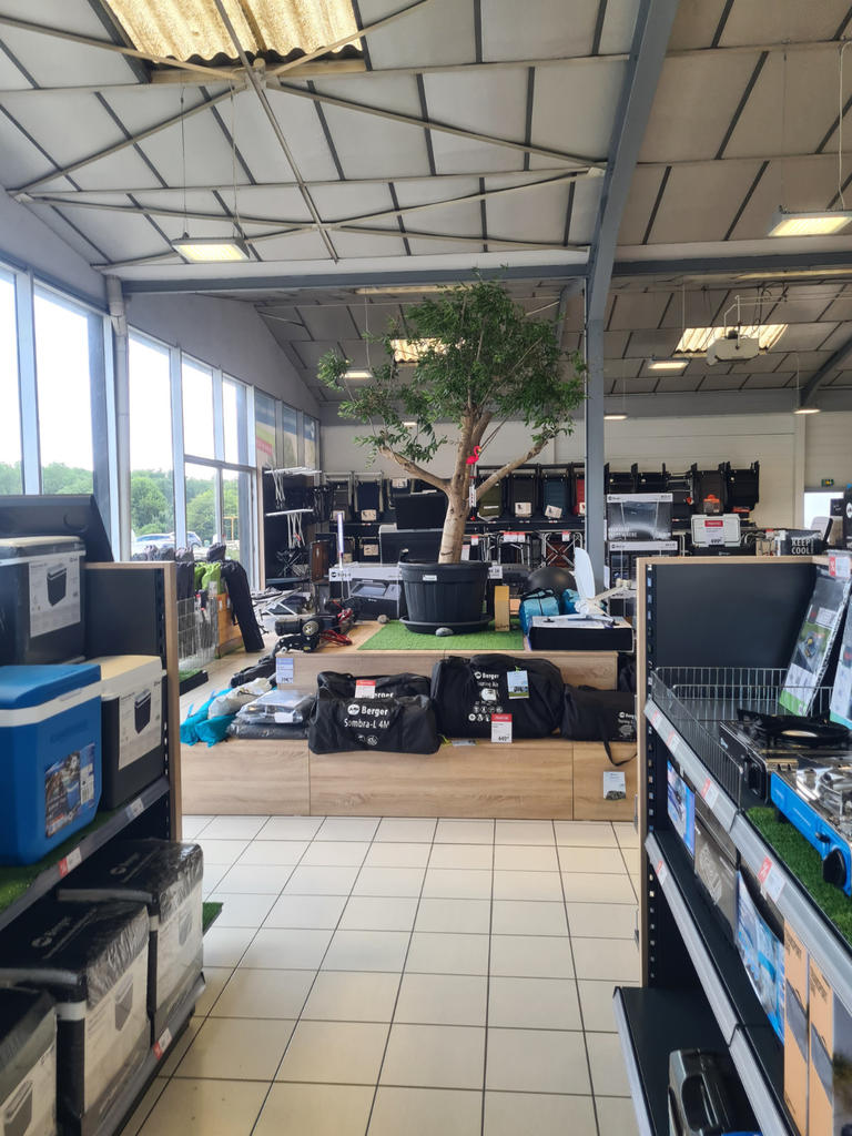 Innenraum mit gro&szlig;en Fenstern links, Regalen und Auslagen, Baum in der Mitte, Fliesenboden, hohes Deckenraster mit Leuchten