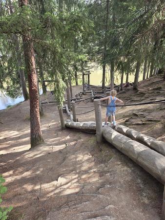 Waldgel&auml;nde mit querliegenden Baumst&auml;mmen als stufiger Weg, eine Person steht auf den St&auml;mmen und h&auml;lt ein Seilgel&auml;nder, links Wasser, im Hintergrund eine Lichtung