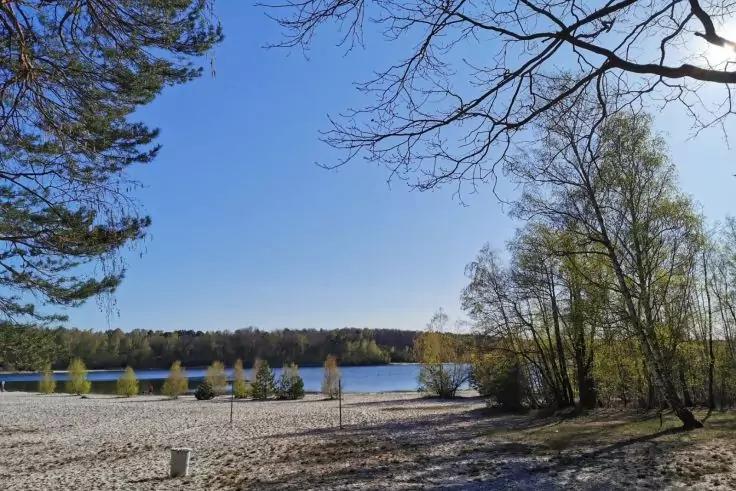Lago con riva sabbiosa, alberi lungo la riva, rami in primo piano, cielo azzurro