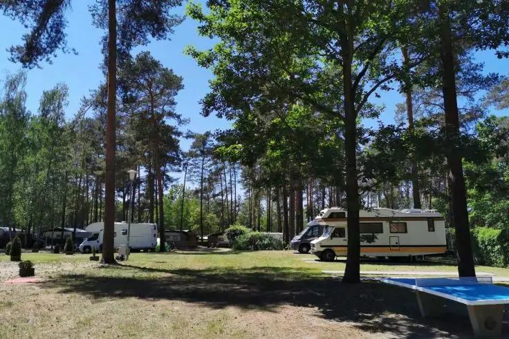 Pi&ugrave; camper e un furgone bianco tra pini su prato, cielo azzurro, tavolo da ping-pong blu in primo piano a destra