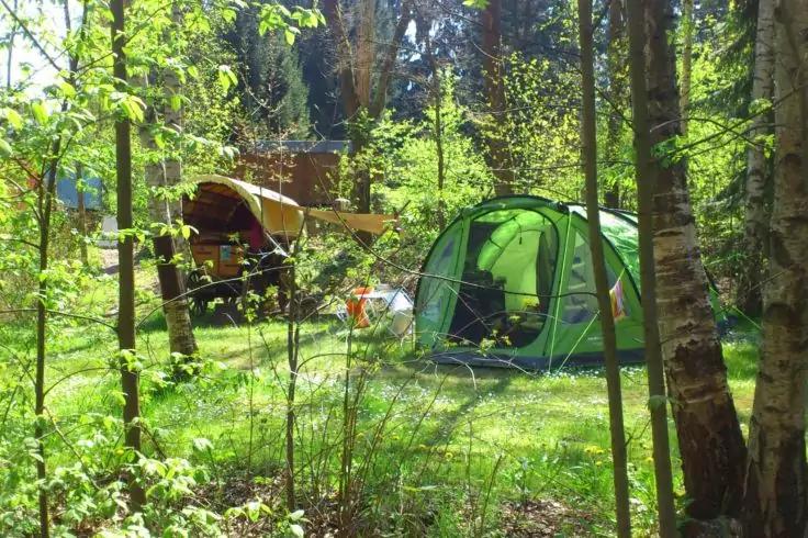 Tenda verde a cupola in una radura nel bosco, roulotte gialla sullo sfondo, alberi e prato visibili