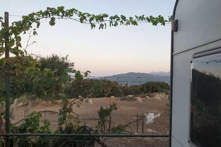 Vite rampicante su traliccio metallico in primo piano, a destra la fiancata di un camper con finestra, terreno secco e roccioso con bassi cespugli, colline sullo sfondo e cielo chiaro