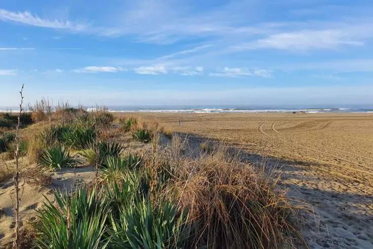 Duna di sabbia con erba di spiaggia in primo piano, spiaggia sabbiosa con tracce di pneumatici, mare all'orizzonte e cielo azzurro con nuvole sparse