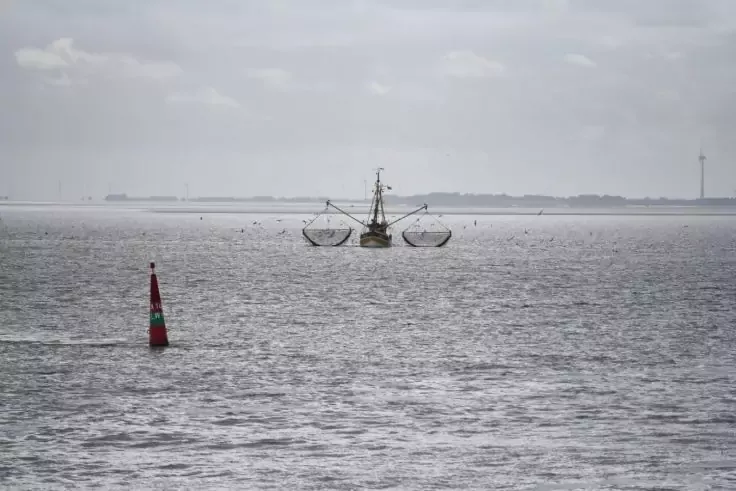 Peschereccio con reti spiegate in mare; boa rossa e verde in primo piano a sinistra; costa bassa e una torre all'orizzonte