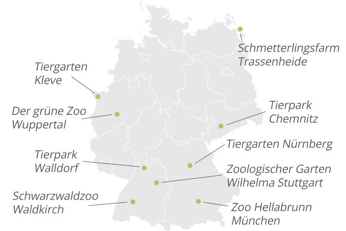 Mappa semplificata della Germania con punti verdi che segnalano zoo e parchi animali etichettati: Tiergarten Kleve, Der gr&uuml;ne Zoo Wuppertal, Tierpark Walldorf, Schwarzwaldzoo Waldkirch, Schmetterlingsfarm Trassenheide, Tierpark Chemnitz, Tiergarten N&uuml;rnberg, Zoologischer Garten Wilhelma Stuttgart, Zoo Hellabrunn M&uuml;nchen