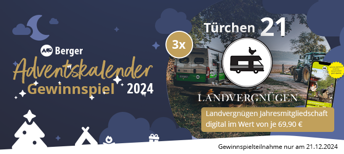 Disney Weihnachtskalender mit festlichem Design und Türchen Nummer 21