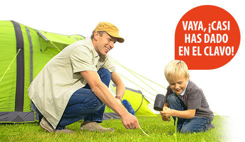 Suche- kein Ergebnis