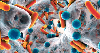 Trinkwasser frisch und sauber halten