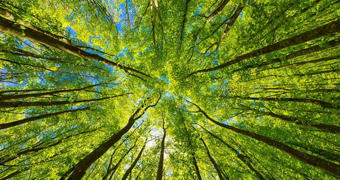 12 tips voor duurzaam kamperen