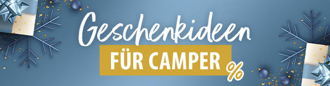 Außenansicht eines blauen Campervans vor einem Wald