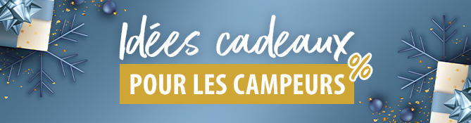 Vue extérieure d'un camping-car bleu devant une forêt