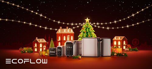 Mehrere rechteckige silberne und schwarze Geräte nebeneinander vor goldenem, kreisförmigem Hintergrund; schwebende Goldmünzen, der Text "BLACK FRIDAY" und das Logo "ECOFLOW"