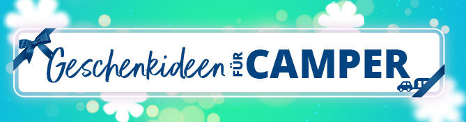 Au&szlig;enansicht eines blauen Campervans vor einem Wald