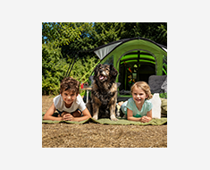 Camping mit Hund &ndash; Zubeh&ouml;r & Ausr&uuml;stung