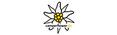 Markenlogo Camperflower