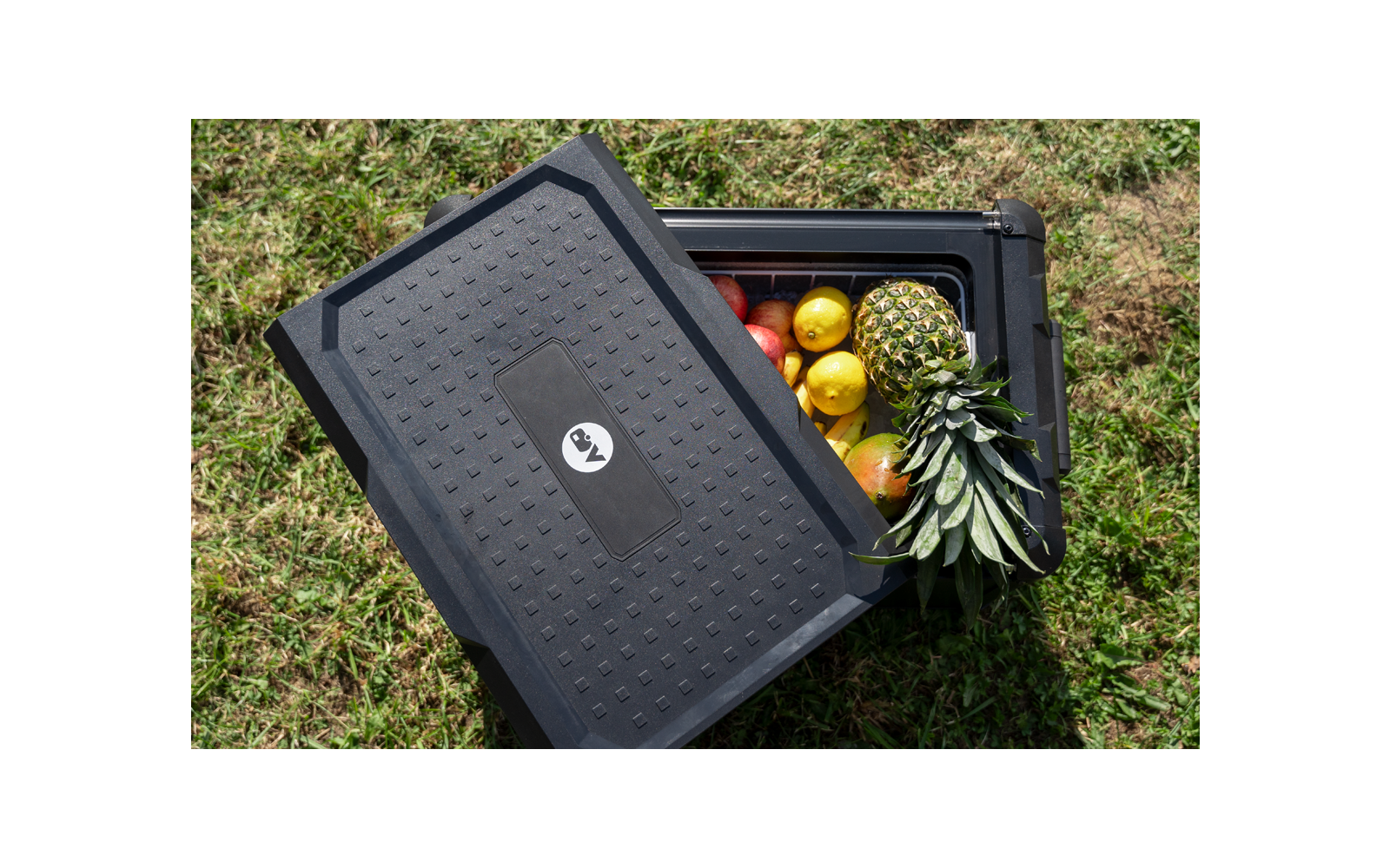 Caisse noire en plastique avec couvercle ouvert sur l'herbe, contenant divers fruits dont un ananas, des citrons et des pommes