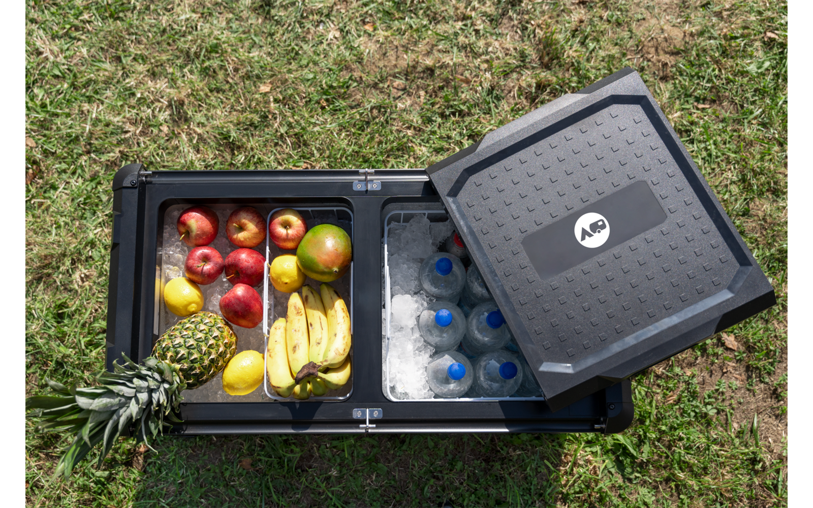 Glacière noire ouverte sur l'herbe ; compartiment gauche avec des fruits (pommes, ananas, bananes, citrons), compartiment droit avec de la glace et des bouteilles d'eau en plastique ; couvercle ouvert à côté