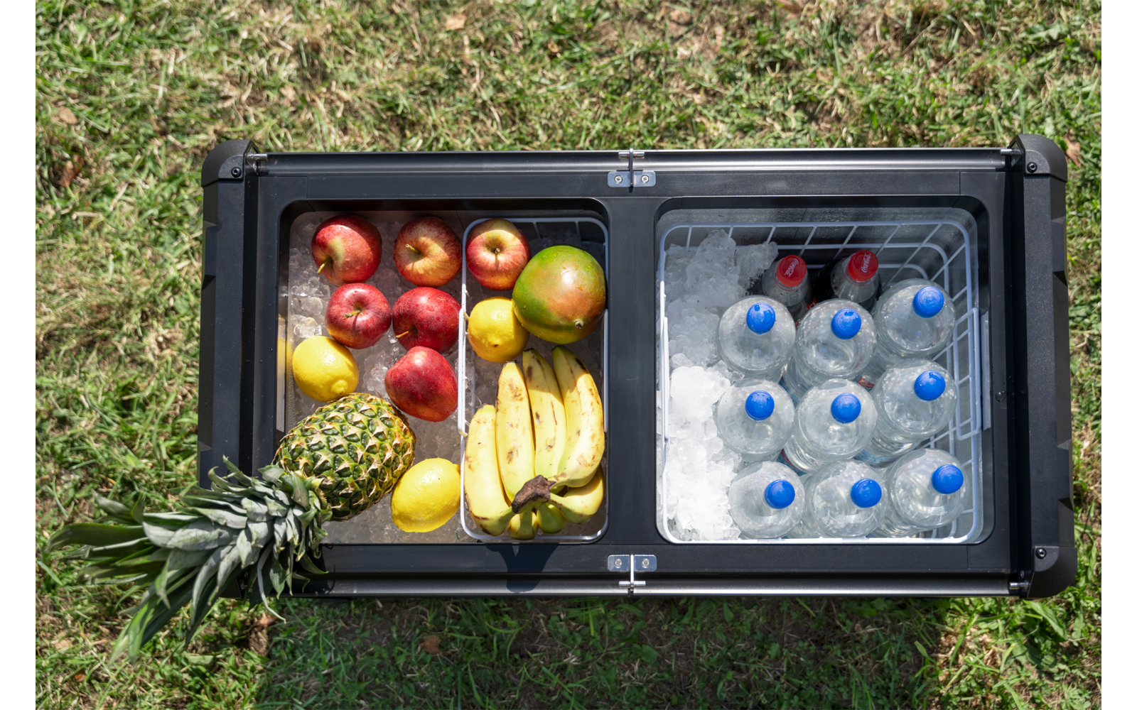 Glacière noire ouverte sur l'herbe; côté gauche avec pommes, citrons, bananes, un ananas et un fruit vert; côté droit avec de la glace, plusieurs bouteilles en plastique avec bouchons bleus et deux bouteilles foncées avec bouchons rouges