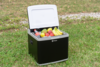 Berger K2 Hybrid-K&uuml;hlbox 12V 230V 42 Liter + Berger K&uuml;hlboxst&auml;nder im Set
