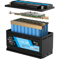 Batterie Berger LiFePO4 Lithium 120 Ah PRO avec BT et fonction chauffage