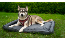 047020 324138 - Berger PawCloud Hundebett