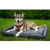 Gray-brown dog wearing a red harness lying on a gray dog bed on grass; hedge in the background