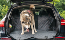 Cane seduto nel bagagliaio aperto di un'auto