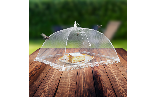 Ein Käse unter einer transparenten Abdeckhaube auf einem Holztisch im Freien